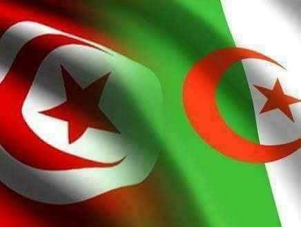 تعاون جزائري تونسي ليبي في مجال النقل البري الدولي